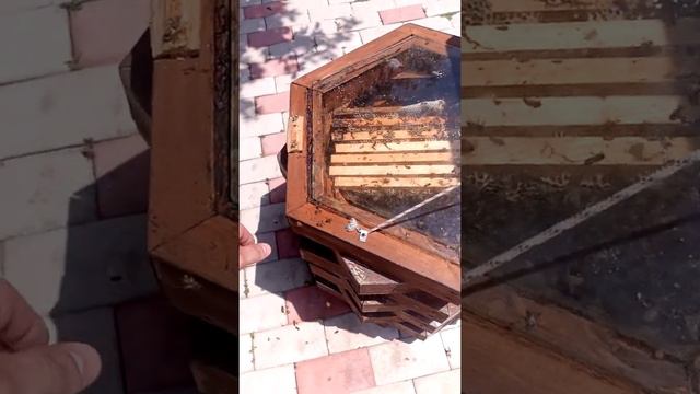 любишь медок люби и холодок