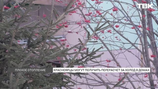 Телекомпания ТВК Красноярск