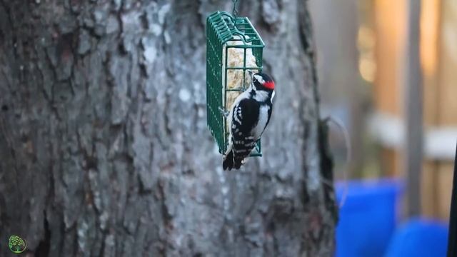 Música tierna, calma el sistema nervioso y agrada el alma - música terapéutica para el corazón