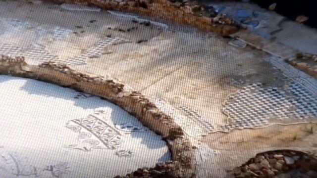 Cf922e68c1ae137c6b793fb73f5cf25d