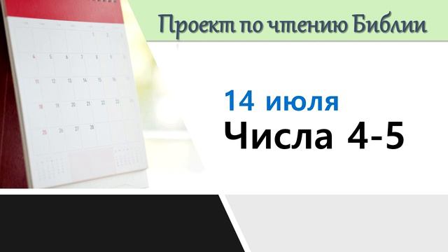 ПРОЕКТ ПО ЧТЕНИЮ БИБЛИИ |  14 июля  | Числа 4-5