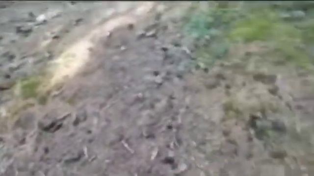 Делай То, Что Любишь