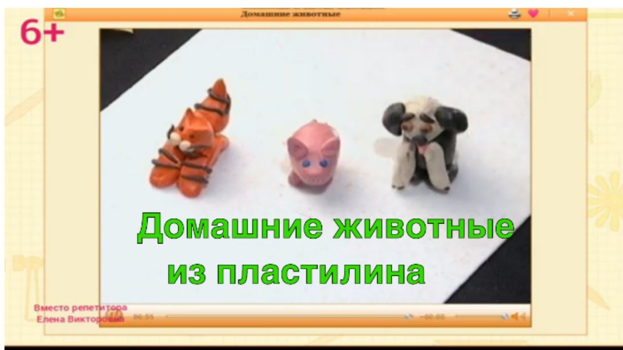 Домашние животные