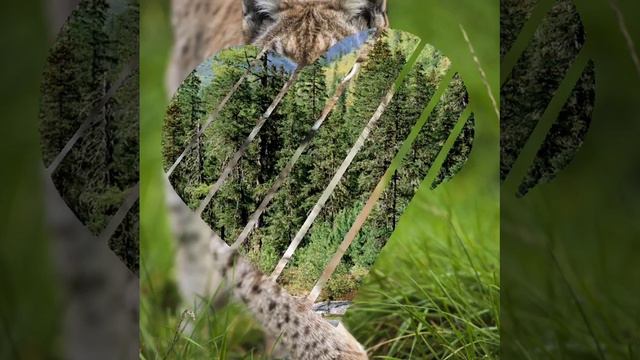 Евгений Кохан. Стихотворение 