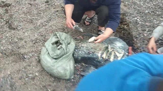 Чистим селедку