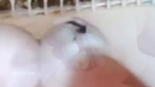 Мужчина увидел странные крошечные яйца когда он взял их в руку то одно яйцо стало трескаться