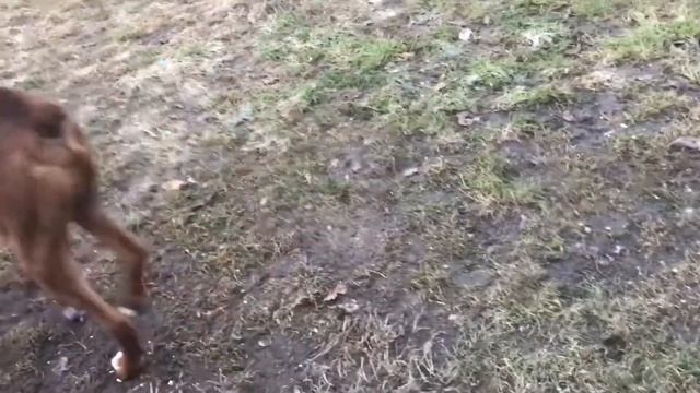 Мода и Шопинг