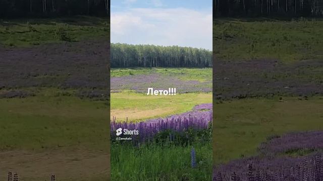 Красота лета