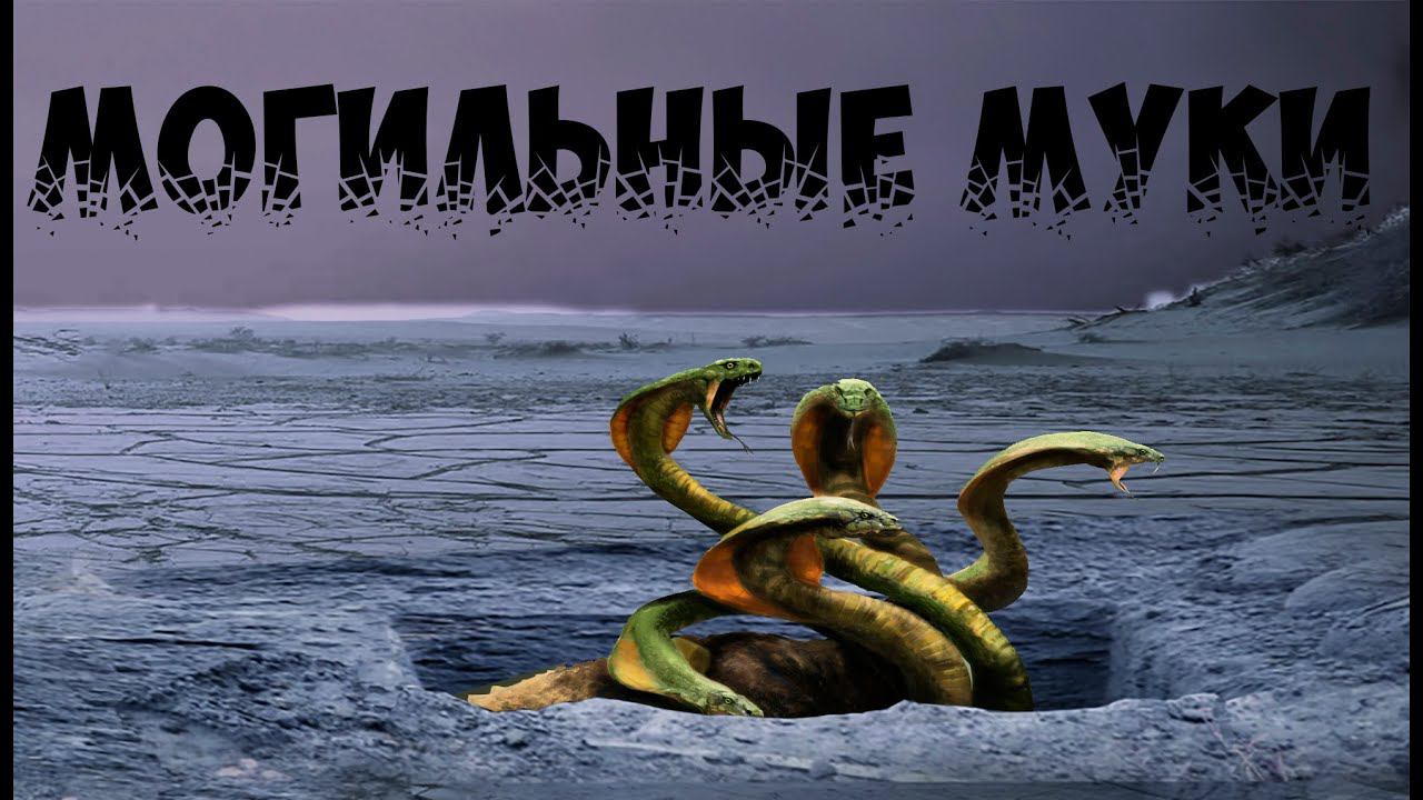 Змея в могиле - это правда?