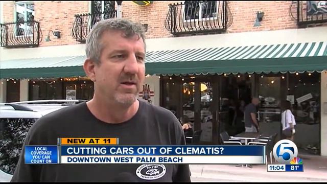 Cutting Cars Out Of Clematis?