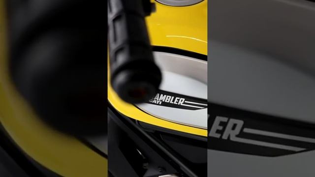 70e117cbcec4341996c633b4d07b88aa