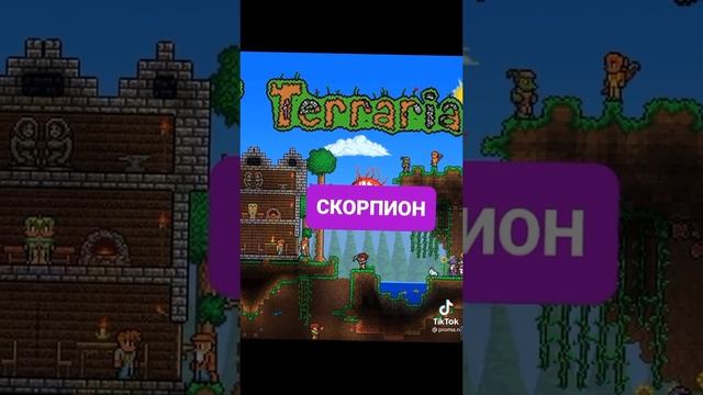 игра по зз