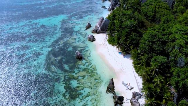 Все ваши заботы исчезнут, если вы послушаете эту музыку🌿 Расслабляющая музыка успокаивает нервы #13