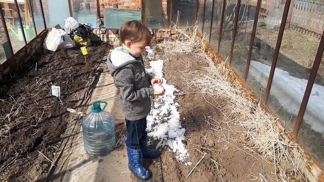 11. 04. 2021 год. Осваиваем теплицу, первая зелень ! Вот же достанется кому то завидный жених!