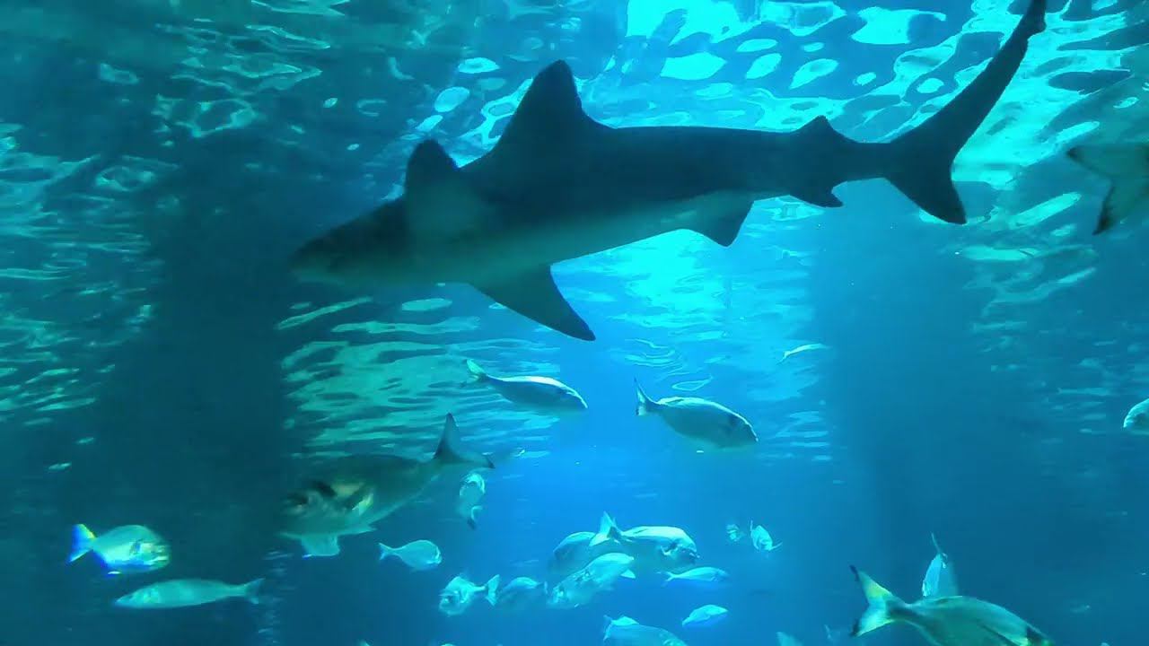 Mediterrane Schätze Mit AIDAcosma Im November 2023