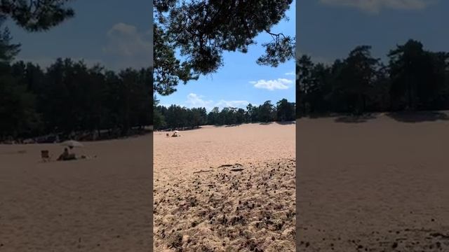 Озеро Сестрорецкий Разлив. Решили проверить пляжи Петербурга. Где разрешено купаться. Стоит ли ехат