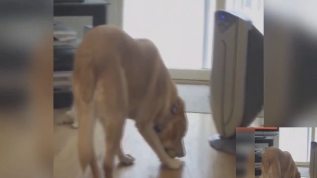 3a8ef6adadc375bf7818807ad2afe956