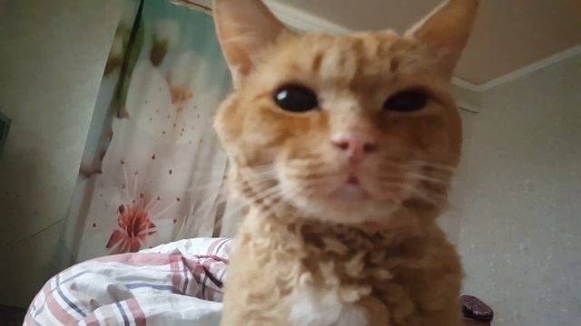 D6f194ffd9ba528713851f49e67c415d