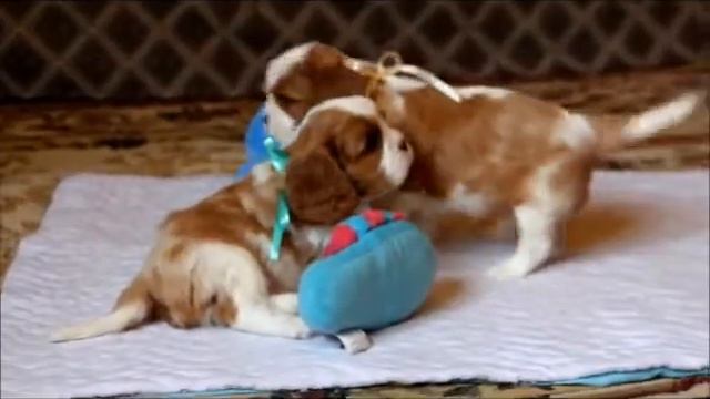 3837328e1f551d55f8be426f86a318f2