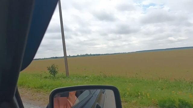 Едем в Центр   для детей сирот/ Уральские поля/ Дорога в соседний район.