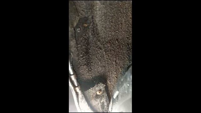 Интерьерные открытия