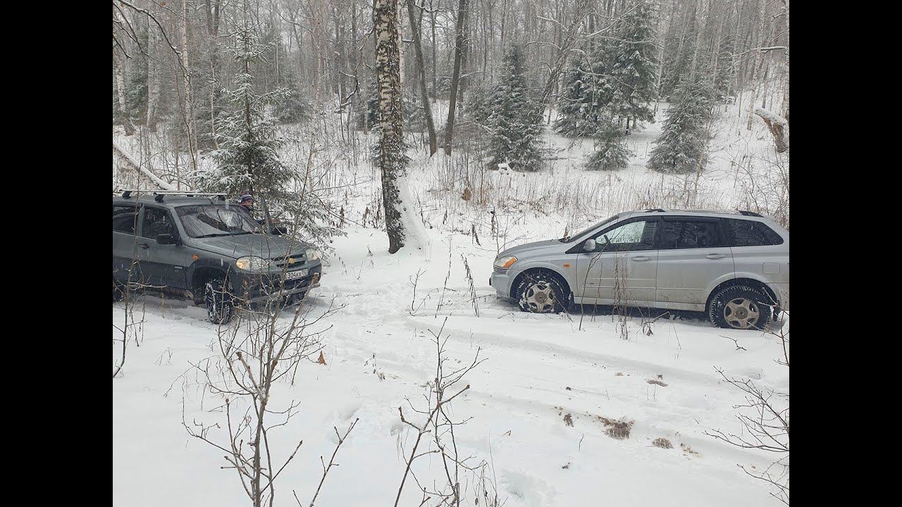 Проверяем лес. Как там обстоят дела???