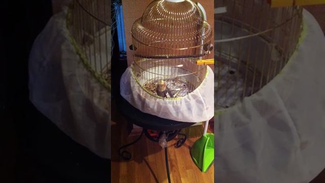 9fa816878e82b95259fa49fb8e3a5f88