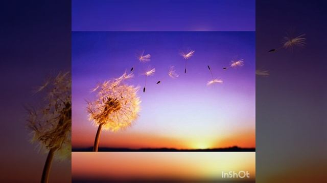 3 христианские песни на пасху