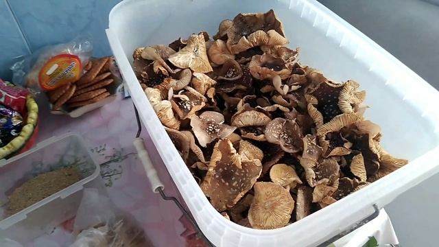 Мастерская Талантов