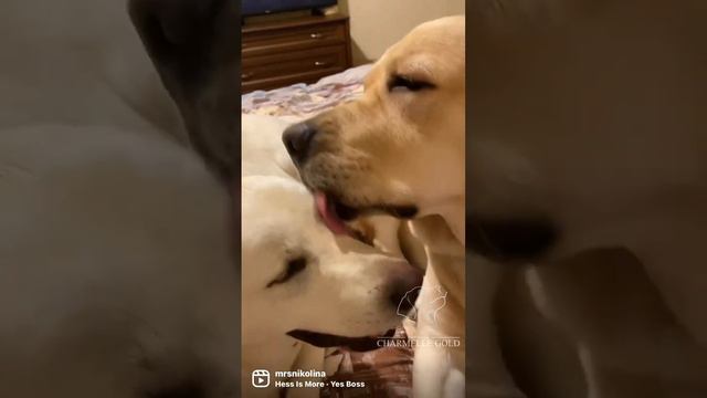 Просто красиво)