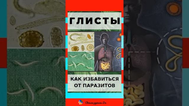КАК ИЗБАВИТЬСЯ ОТ ГЛИСТОВ