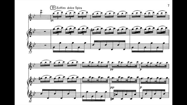 Vivaldi - Summer, 1st Mov. (piano Accompaniment)