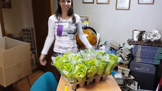 Демонстрация кассеты для рассады