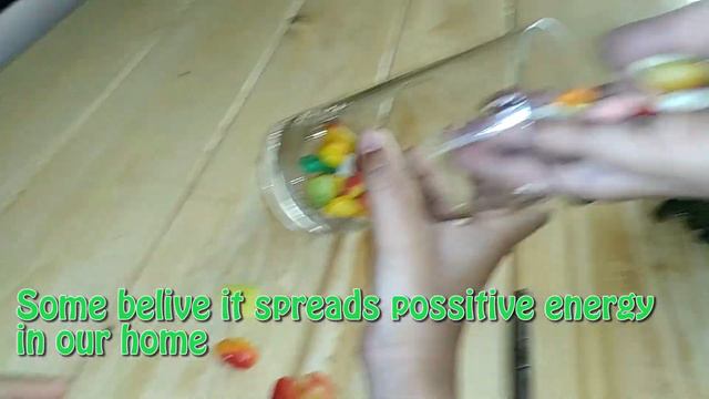 How To Grow Indoor Plant Commonly Known As Sanjeevani Booti At Home