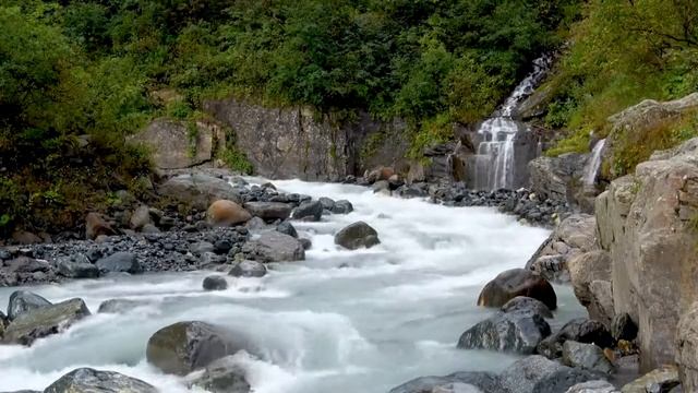 Спать под звуки лесной реки ASMR