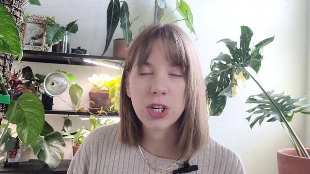 Looking Back On & Chopping My Epipremnum (Pothos) Pinnatum Albo Varigated!