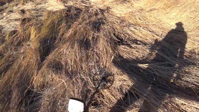 цветные шмурдяки с интроник