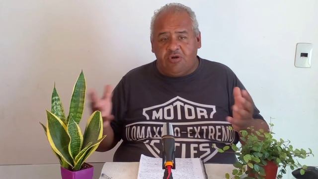 SYNGONIUM PODOPHYLLUM - Planta De Interior Hermosa - TODO Lo Que Tienes Que Saber Sobre El SINGONIO