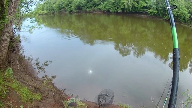 Голавль на кукурузу в мае