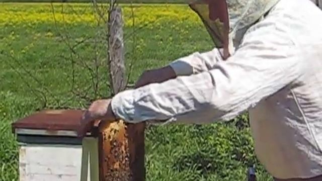 5d6eb22d3b7128d604ba17c36b393bb2