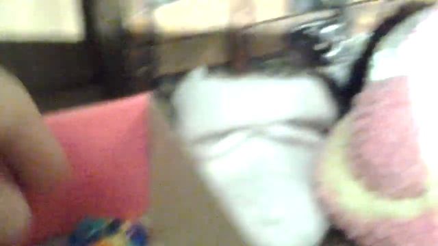 Вся одежда моего кота Басика :3