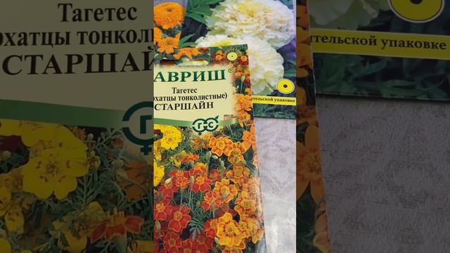 ОБЯЗАТЕЛЬНО ПОСАДИТЕ ЭТИ ЦВЕТЫ #рекомендации #цветы #бархатцы #цветывсаду #цветынадаче #дача#сад#