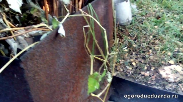 Aea166f772c98e3fa3f6d598e49e48f8