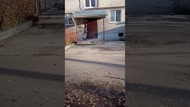 гейм оф скут с братом не хейтите пж я меньше месяца катаю scooter max_0am рекомендации самока
