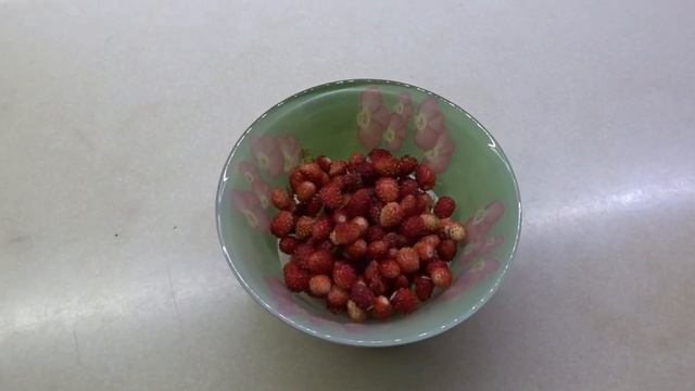 Земляника на участке дома.