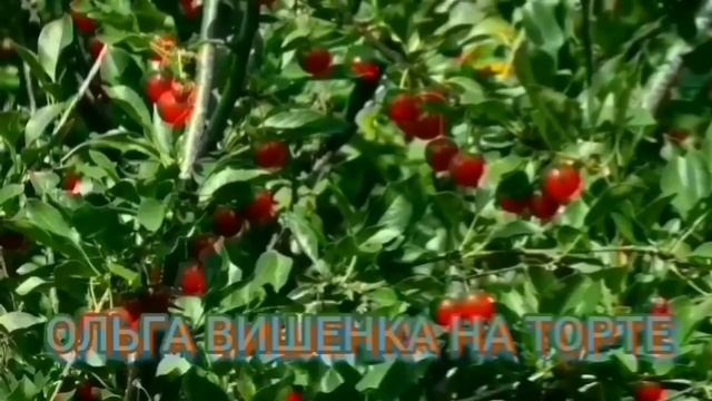 НОВЫЕ ДОХОДЫ УРАЛОЧКИ! ОЛЬГА УРАЛОЧКА LIVE.