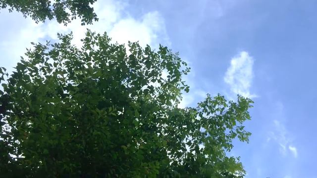 ModularSynth - Look To Heaven - Ambient Patch