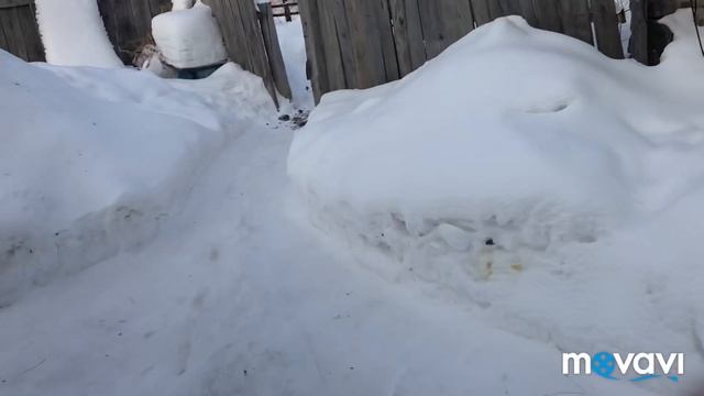 деревня Беспаловка Кыштовский район Новосибирска область. Приезжайте новые фермеры сеять поля, жить