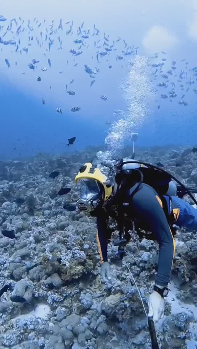 Дрифт. Красное море