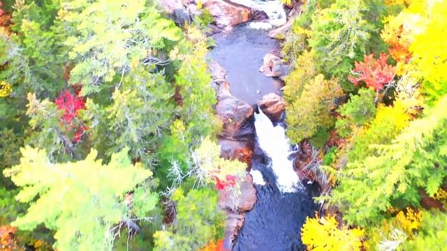 Расслабляющая музыка со звуками птиц,Красивая природа,Мирная фортепианная музыка Аакаша Ганди HD